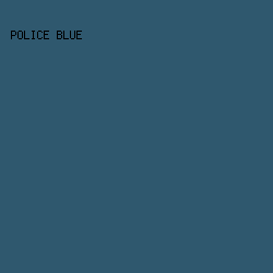 2F586E - Police Blue color image preview