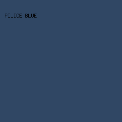 304764 - Police Blue color image preview