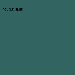 326462 - Police Blue color image preview