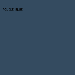 344B60 - Police Blue color image preview
