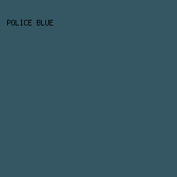 345763 - Police Blue color image preview
