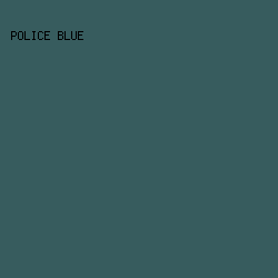 375C5E - Police Blue color image preview