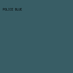 385D65 - Police Blue color image preview