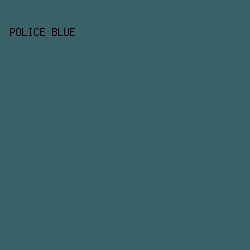 386168 - Police Blue color image preview