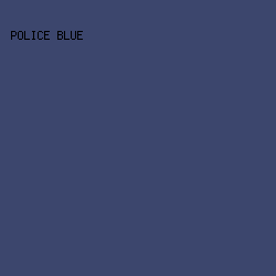 3C466D - Police Blue color image preview