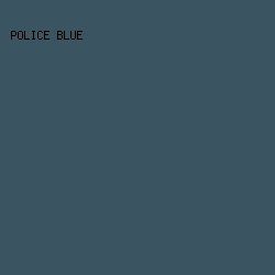 3a5462 - Police Blue color image preview