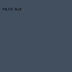 424f5e - Police Blue color image preview