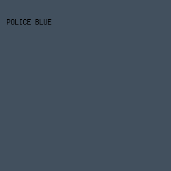 42505E - Police Blue color image preview