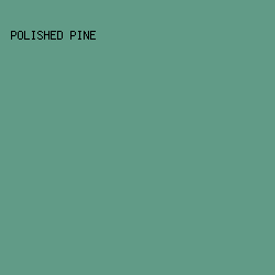 619B87 - Polished Pine color image preview