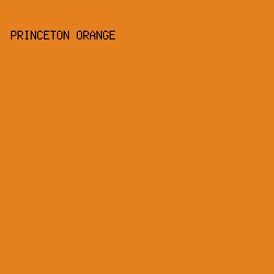 E4801D - Princeton Orange color image preview
