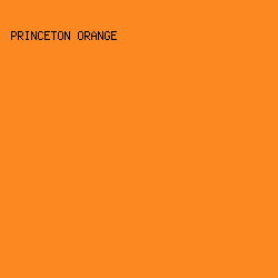 FC8821 - Princeton Orange color image preview