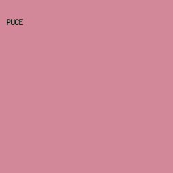 D28899 - Puce color image preview