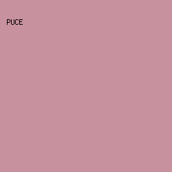 c8919e - Puce color image preview