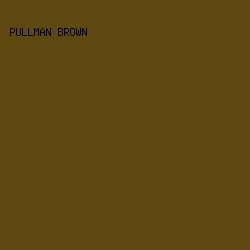 5e480f - Pullman Brown color image preview