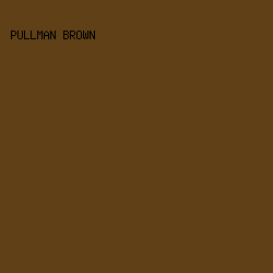 604016 - Pullman Brown color image preview
