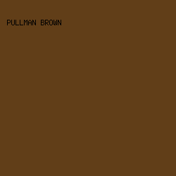 613e18 - Pullman Brown color image preview