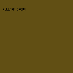 614F14 - Pullman Brown color image preview