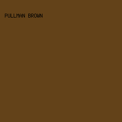 634219 - Pullman Brown color image preview