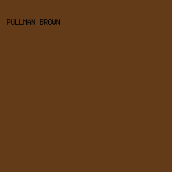 643B18 - Pullman Brown color image preview