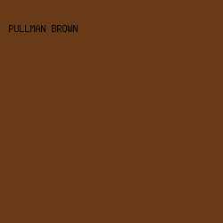 693a18 - Pullman Brown color image preview