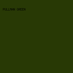283905 - Pullman Green color image preview