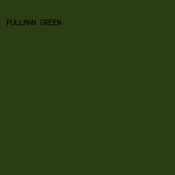 2B3E13 - Pullman Green color image preview