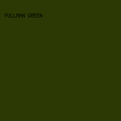 2D3905 - Pullman Green color image preview