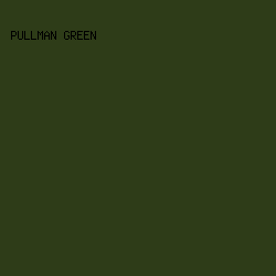 2e3c18 - Pullman Green color image preview
