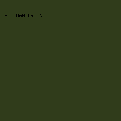 303c1b - Pullman Green color image preview