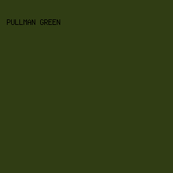 303d14 - Pullman Green color image preview
