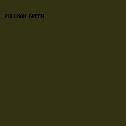 313312 - Pullman Green color image preview
