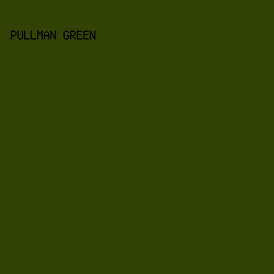 324104 - Pullman Green color image preview