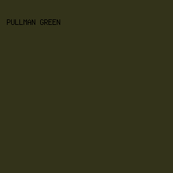 33331a - Pullman Green color image preview