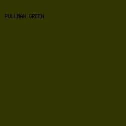 333500 - Pullman Green color image preview