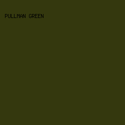 34380E - Pullman Green color image preview