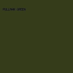 343C19 - Pullman Green color image preview