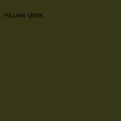 363717 - Pullman Green color image preview