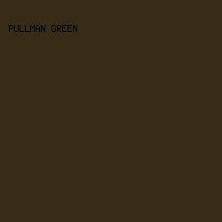 382C17 - Pullman Green color image preview