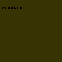 383302 - Pullman Green color image preview