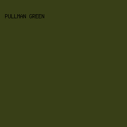 383f17 - Pullman Green color image preview