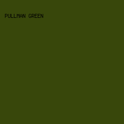38470B - Pullman Green color image preview