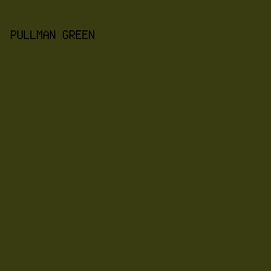 393c11 - Pullman Green color image preview