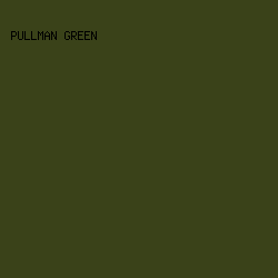 3A4219 - Pullman Green color image preview