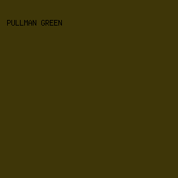 3E3608 - Pullman Green color image preview
