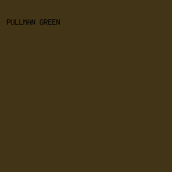 423416 - Pullman Green color image preview