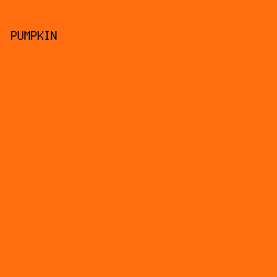 FE6E11 - Pumpkin color image preview