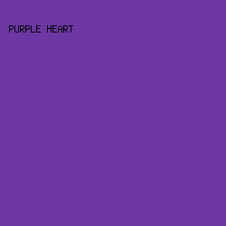 6d37a3 - Purple Heart color image preview