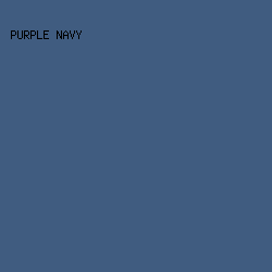 405C80 - Purple Navy color image preview