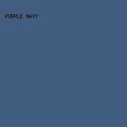 415d80 - Purple Navy color image preview