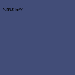 424D78 - Purple Navy color image preview